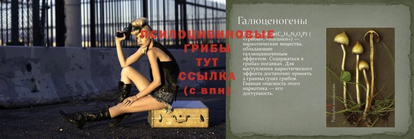 прущие грибы Лиски
