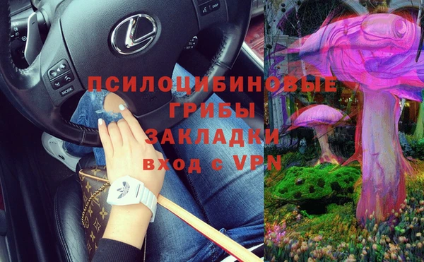 прущие грибы Лиски