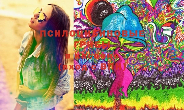 прущие грибы Лиски